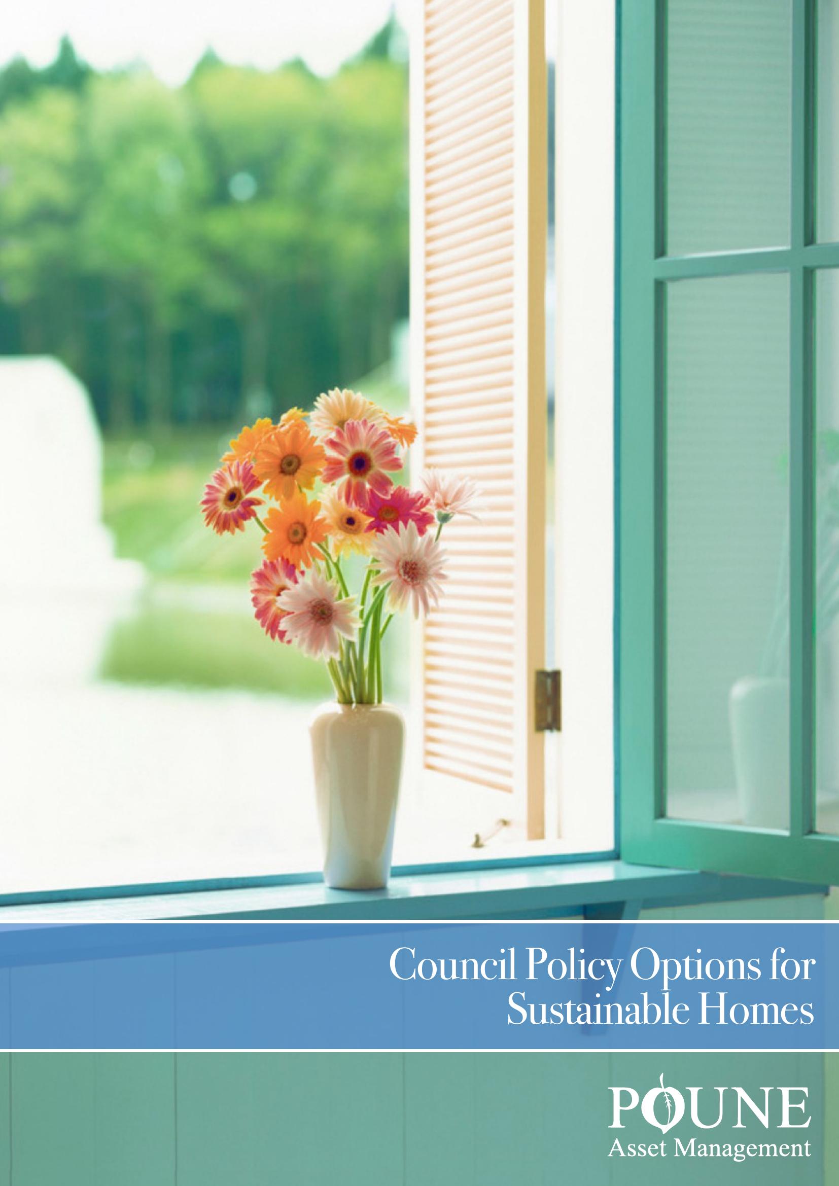 Council Policy Options for Sustainable Homes — research paper cover