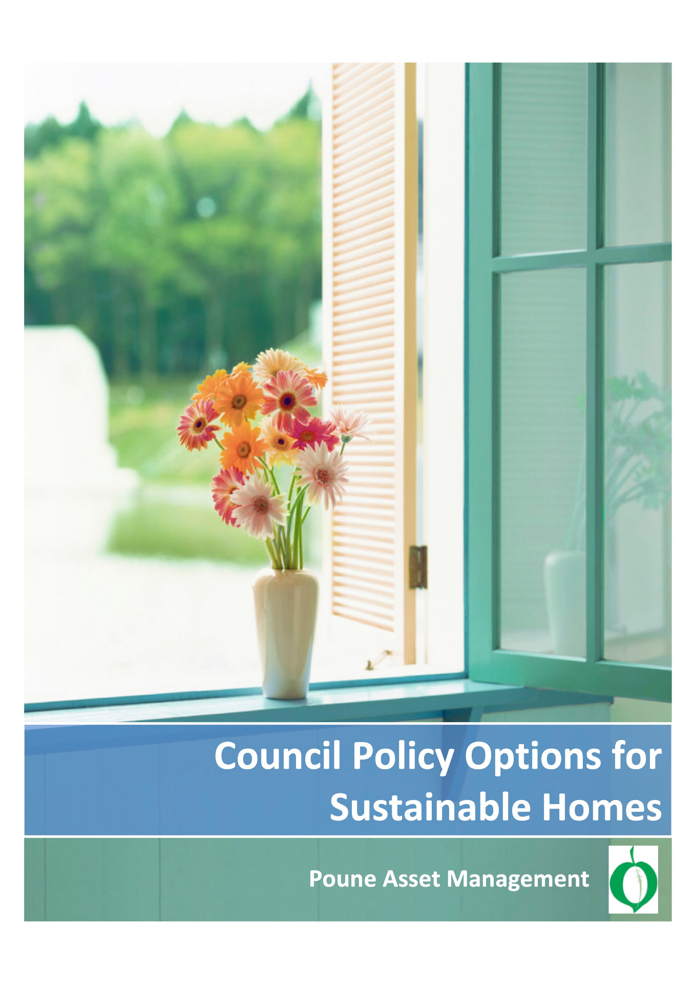 Council Policy Options for Sustainable Homes — research paper cover